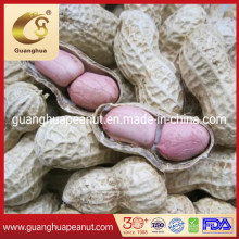 Wholesale Peanut Kernels Peanuts New Crop